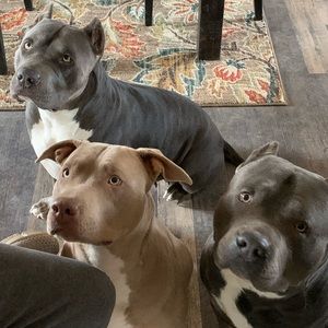 Meet your Posher, Dina